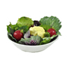 Fake Food Prop Displays: Fake Bowls of Salad, Fake Salad Pieces, Fake Vegetables and Artificial Vegetables for Display by Props America.